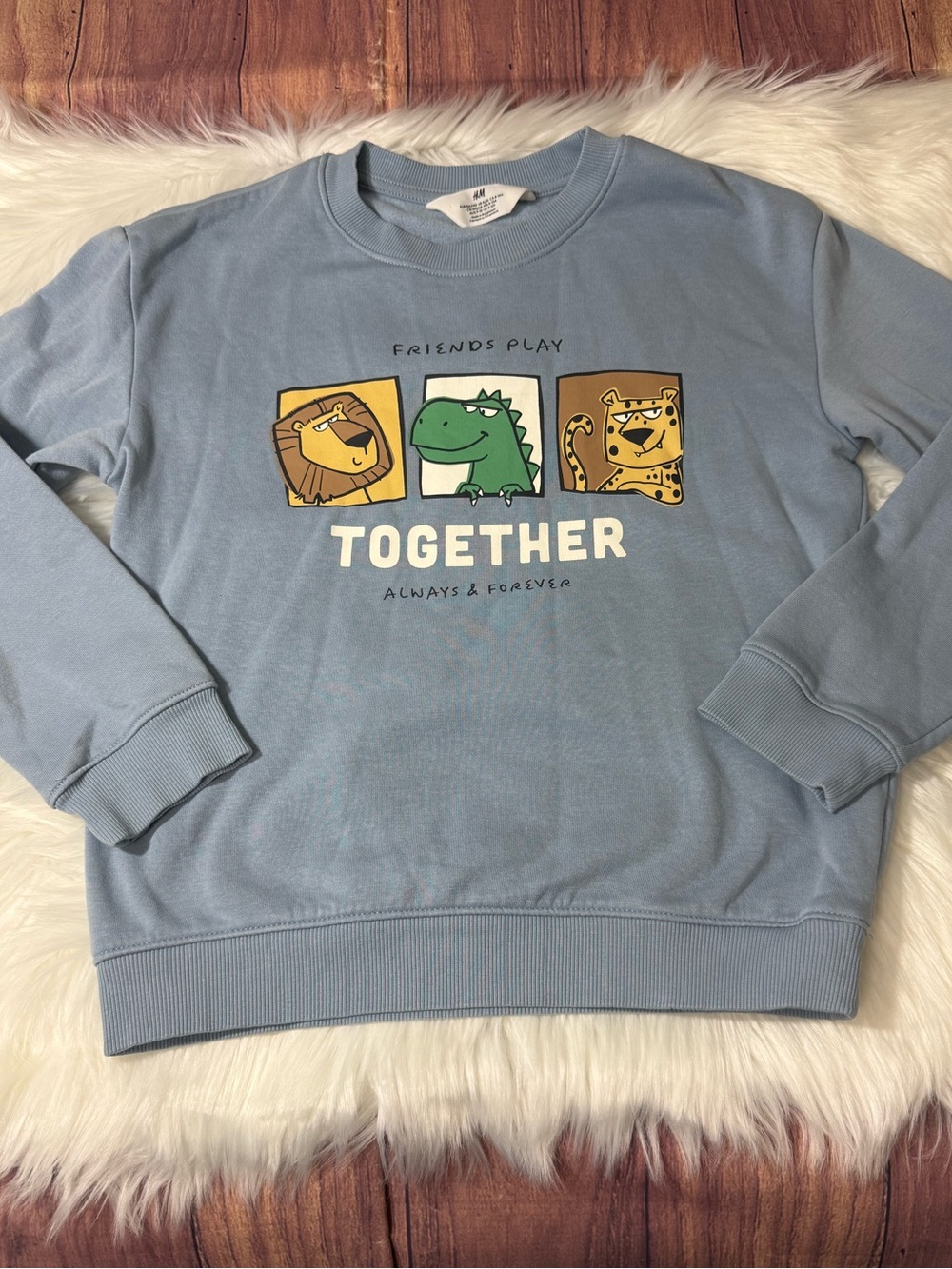 H&M Graphic Sweatshirt - Boys Size 8/10